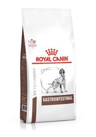 Gastro Intestinal Canine